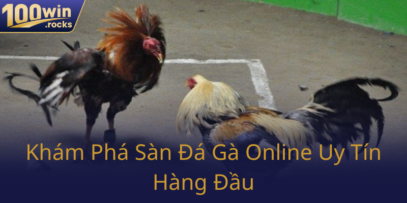 Đá Gà 100WIN - Trải Nghiệm Đấu Trường Gà Trực Tuyến Đỉnh Cao 2025 1 Kham Pha San Da Ga Online Uy Tin Hang Dau0
