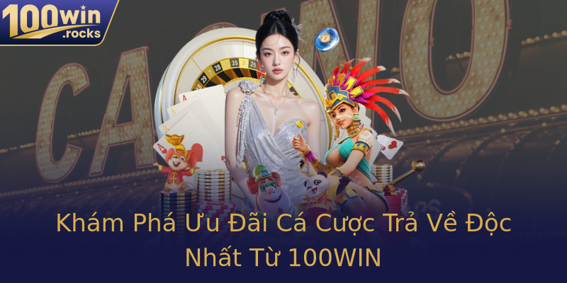 Khám Phá Ưu Đãi Cá Cược Trả Về Độc Nhất Từ 100WIN