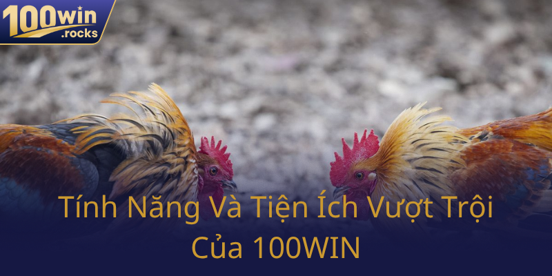Đá Gà 100WIN - Trải Nghiệm Đấu Trường Gà Trực Tuyến Đỉnh Cao 2025 3 Tinh Nang Va Tien Ich Vuot Troi Cua 100Win0