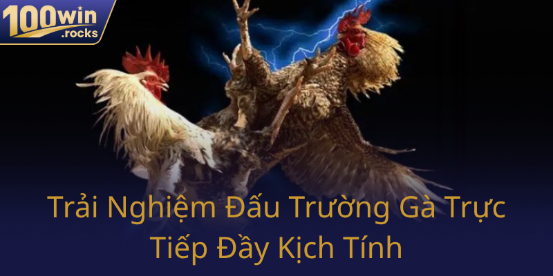 Đá Gà 100WIN - Trải Nghiệm Đấu Trường Gà Trực Tuyến Đỉnh Cao 2025 2 Trai Nghiem Dau Truong Ga Truc Tiep Day Kich Tinh0